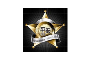 logo-19_ping-an_200x300